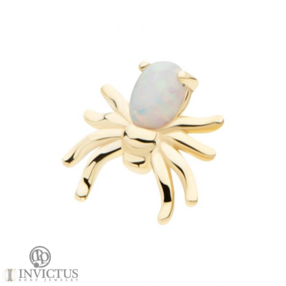 14K Prong-Set Spider - Image 3